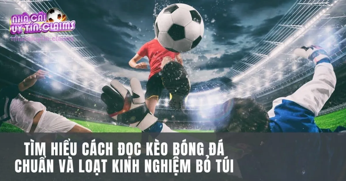 Cách đọc kèo bóng đá