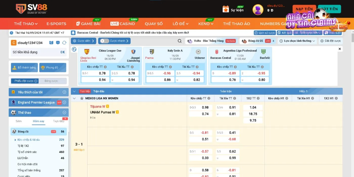 Giới Thiệu Chi Tiết Kèo Nhà Cái SV88