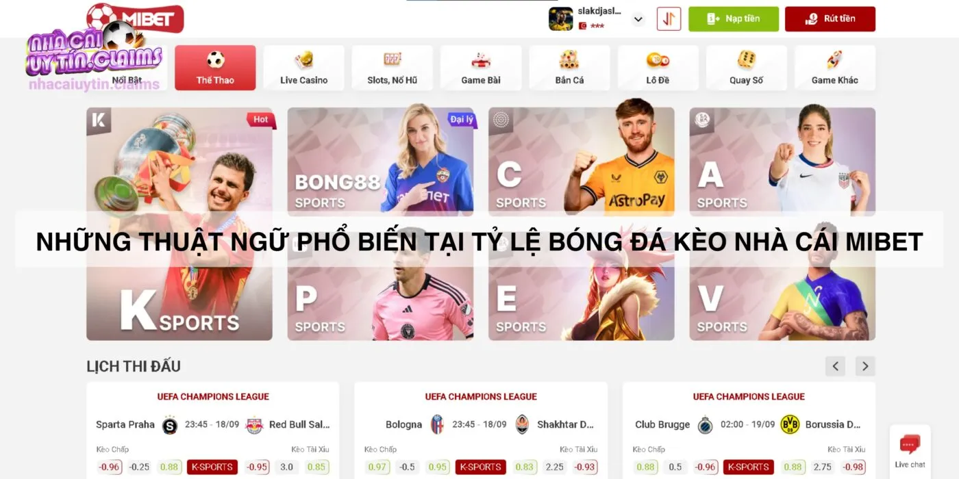 Những thuật ngữ phổ biến tại tỷ lệ bóng đá kèo nhà cái Mibet